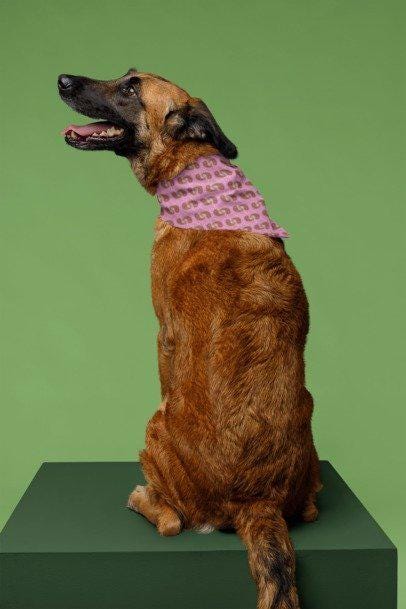 Dog Bandana, Pink Paisley Bandana - Pet Bandana for Dogs, Puppy Neck Scarf, Cute Pet Accessories, Dog Lover Gift, Dog Apparel, Cat Bandana,