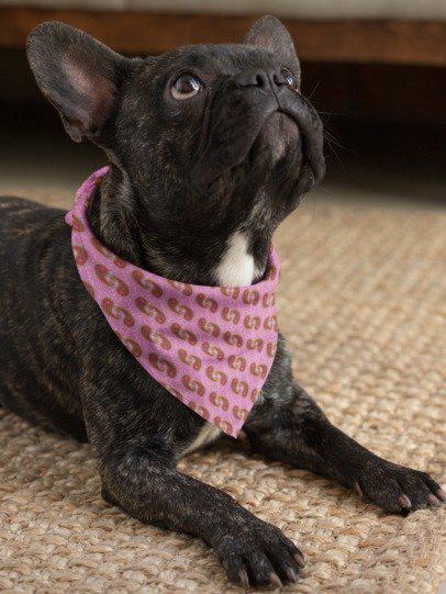 Dog Bandana, Pink Paisley Bandana - Pet Bandana for Dogs, Puppy Neck Scarf, Cute Pet Accessories, Dog Lover Gift, Dog Apparel, Cat Bandana,