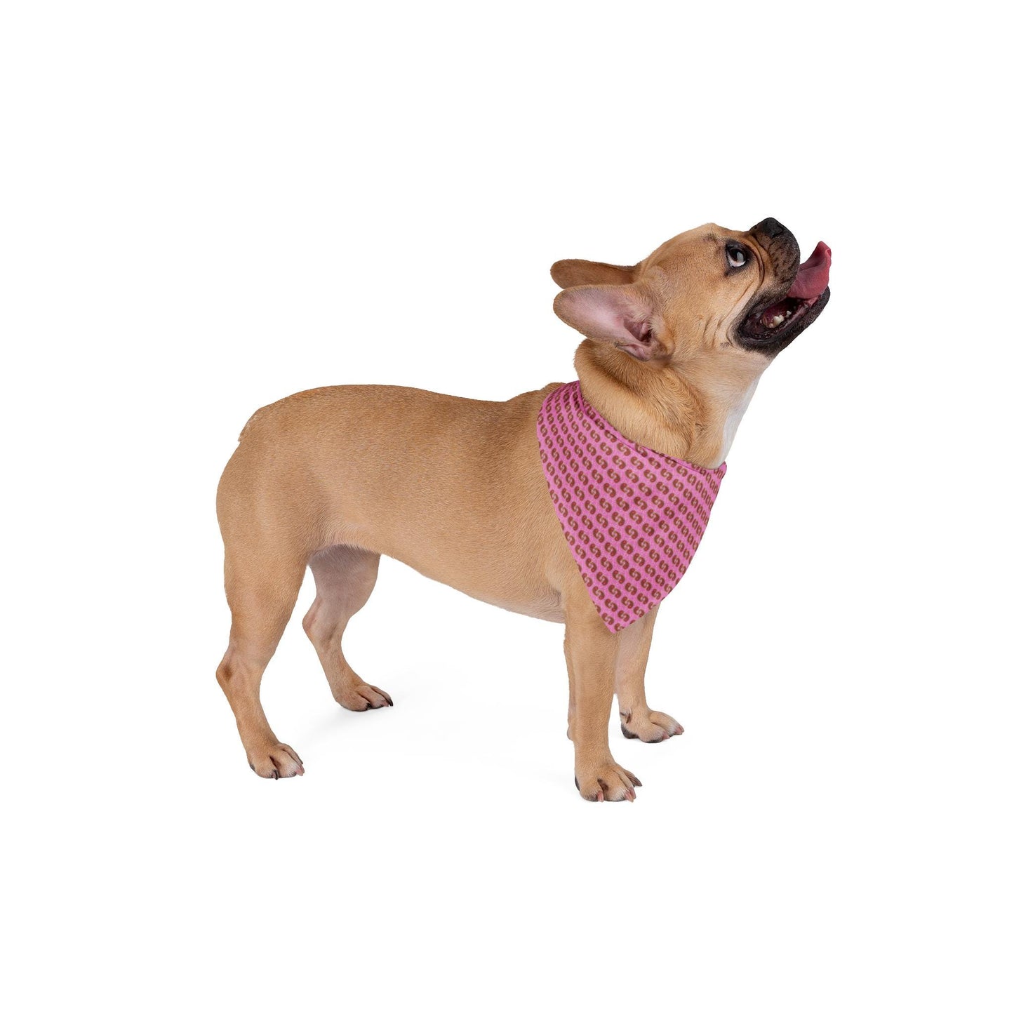 Dog Bandana, Pink Paisley Bandana - Pet Bandana for Dogs, Puppy Neck Scarf, Cute Pet Accessories, Dog Lover Gift, Dog Apparel, Cat Bandana,