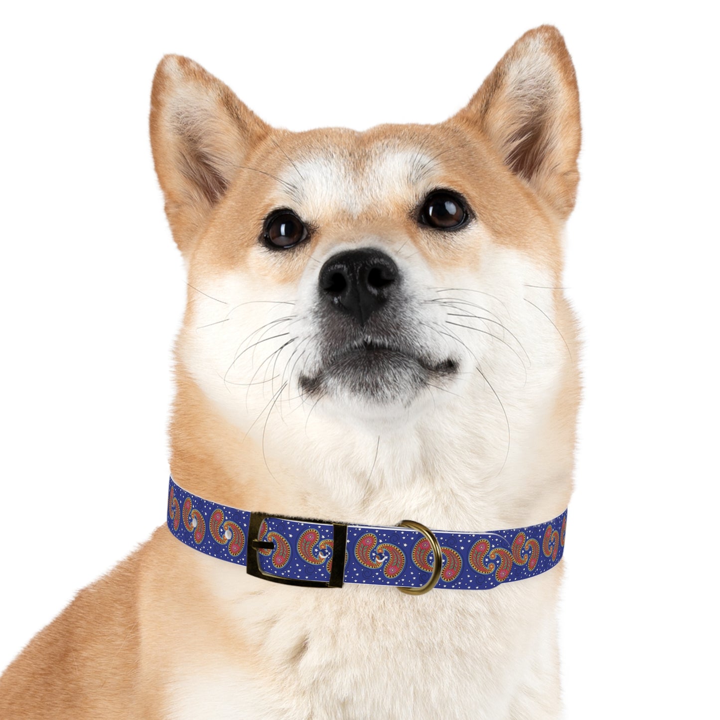 Colorful Paisley Dog Collar, Custom Pet Collar, Unique Dog Accessory, Dog Lover Gift, Stylish Pet Gear, Vibrant Dog Fashion