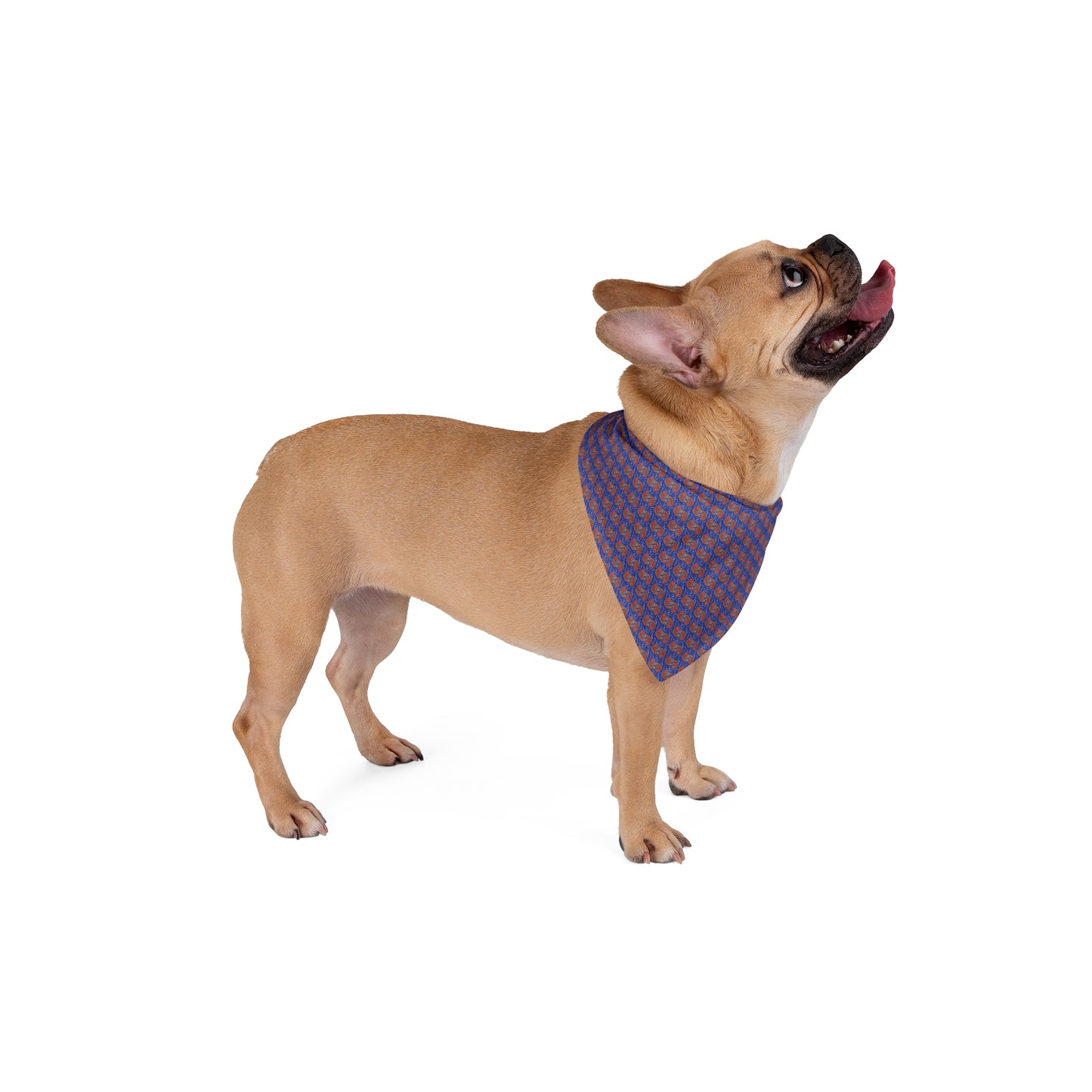 Stylish Pet Bandana for Dogs, Trendy Dog Accessory, Pet Birthday Gift, Dog Fashion for All Occasions, Lovable Pet Wear