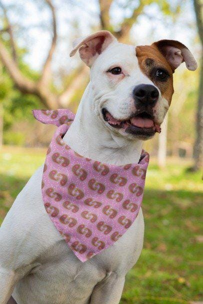 Dog Bandana, Pink Paisley Bandana - Pet Bandana for Dogs, Puppy Neck Scarf, Cute Pet Accessories, Dog Lover Gift, Dog Apparel, Cat Bandana,