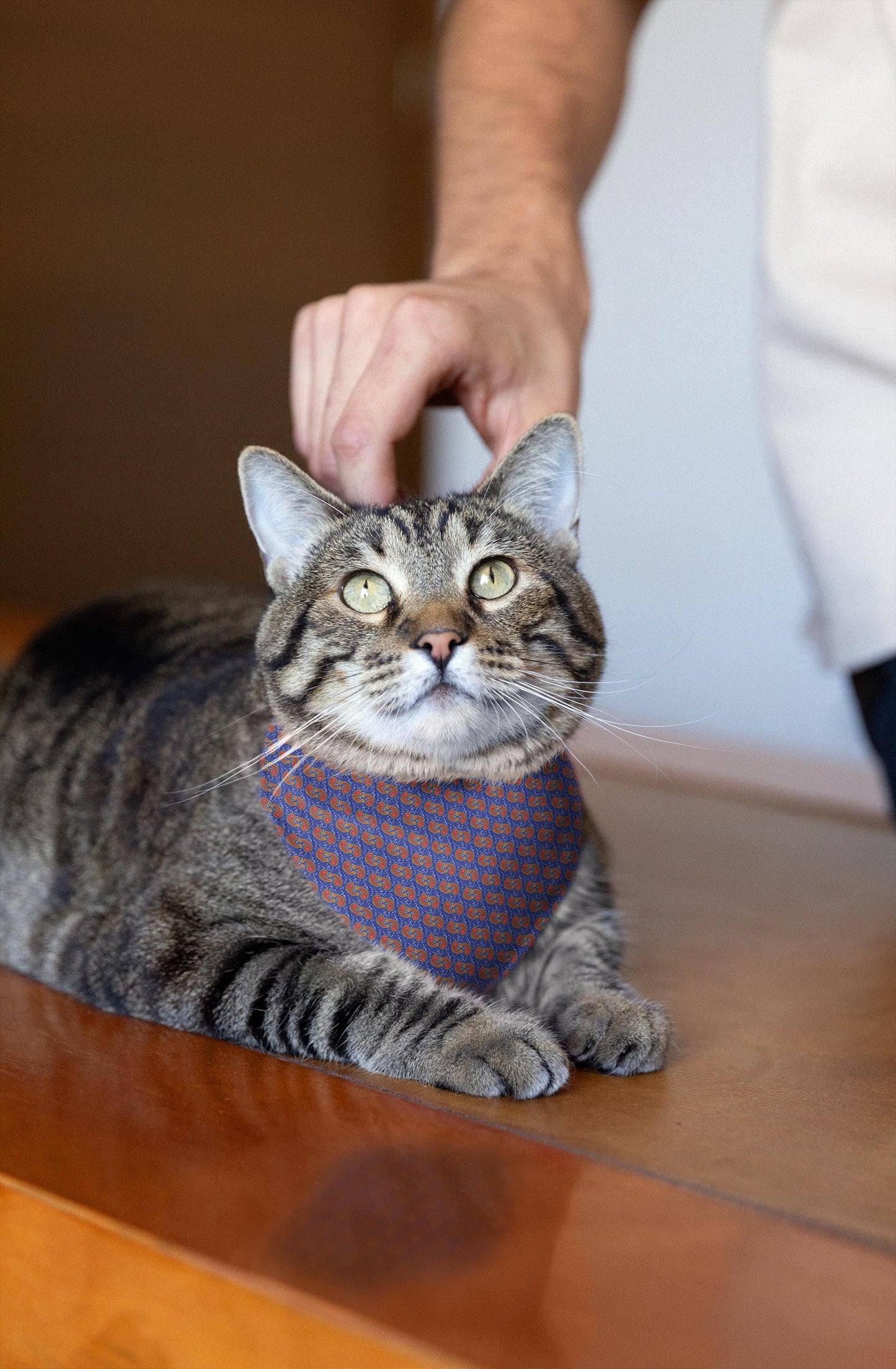 Stylish Pet Bandana for Dogs, Trendy Dog Accessory, Pet Birthday Gift, Dog Fashion for All Occasions, Lovable Pet Wear