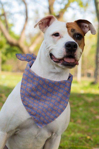Stylish Pet Bandana for Dogs, Trendy Dog Accessory, Pet Birthday Gift, Dog Fashion for All Occasions, Lovable Pet Wear