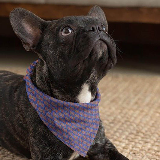 Stylish Pet Bandana for Dogs, Trendy Dog Accessory, Pet Birthday Gift, Dog Fashion for All Occasions, Lovable Pet Wear