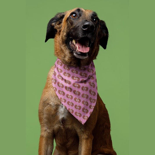 Dog Bandana, Pink Paisley Bandana - Pet Bandana for Dogs, Puppy Neck Scarf, Cute Pet Accessories, Dog Lover Gift, Dog Apparel, Cat Bandana,